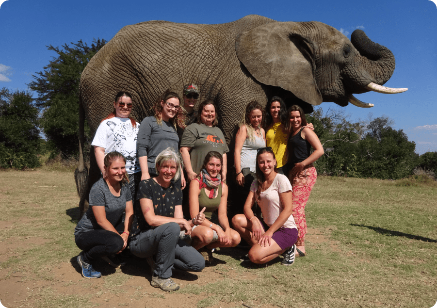 Afrique du sud photo de groupe avec éléphant